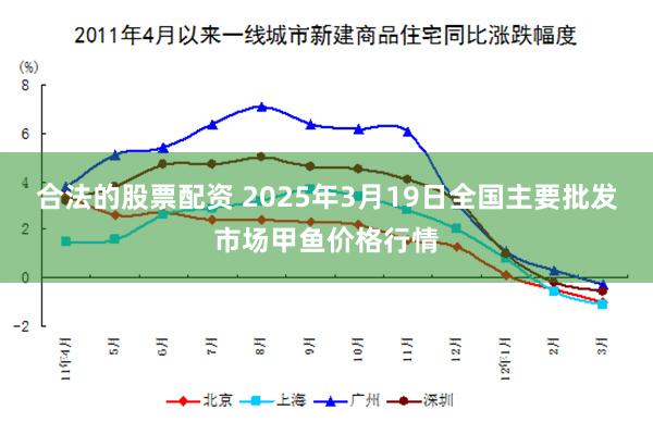 合法的股票配资 2025年3月19日全国主要批发市场甲鱼价格行情