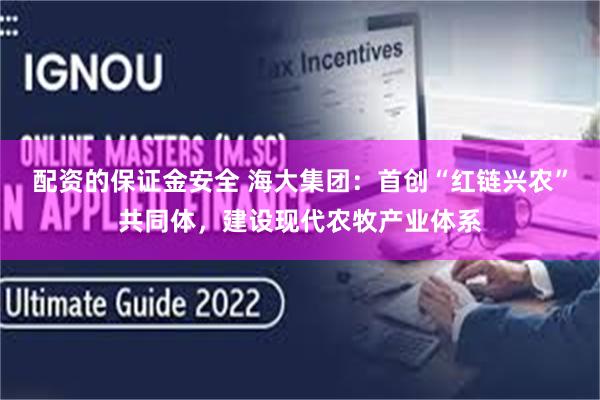 配资的保证金安全 海大集团：首创“红链兴农”共同体，建设现代农牧产业体系