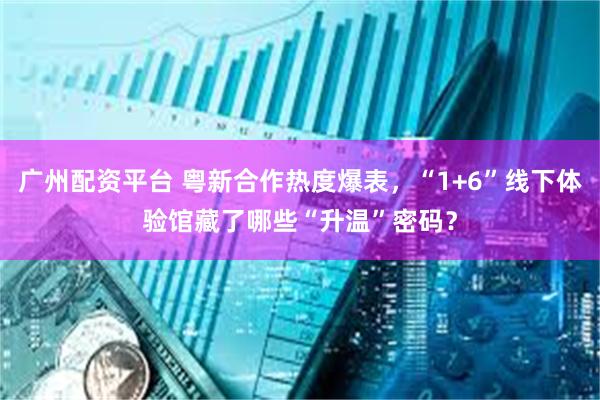 广州配资平台 粤新合作热度爆表，“1+6”线下体验馆藏了哪些“升温”密码？