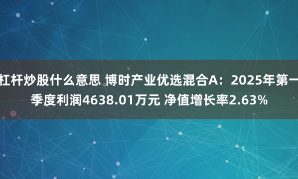 杠杆炒股什么意思 博时产业优选混合A：2025年第一季度利润4638.01万元 净值增长率2.63%