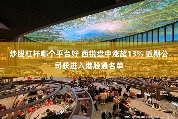 炒股杠杆哪个平台好 西锐盘中涨超13% 近期公司获进入港股通名单
