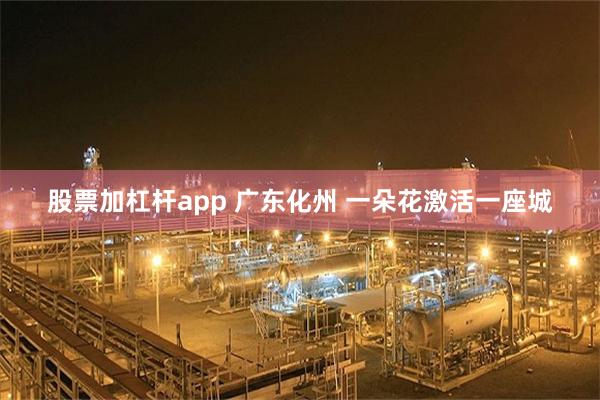 股票加杠杆app 广东化州 一朵花激活一座城