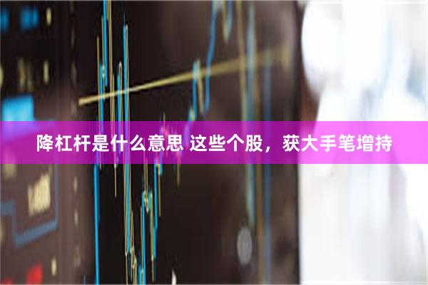 降杠杆是什么意思 这些个股，获大手笔增持