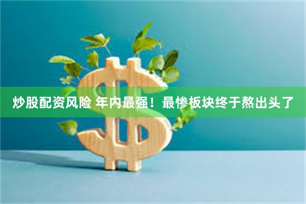 炒股配资风险 年内最强！最惨板块终于熬出头了