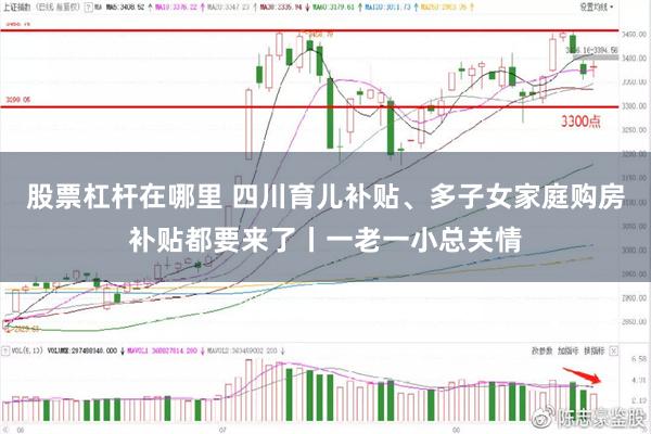 股票杠杆在哪里 四川育儿补贴、多子女家庭购房补贴都要来了丨一老一小总关情