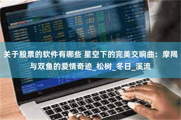关于股票的软件有哪些 星空下的完美交响曲：摩羯与双鱼的爱情奇迹_松树_冬日_溪流